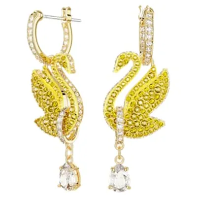 Swarovski Iconic Swan drop earrings, Swan, Yellow, Gold-tone plated by SWAROVSKI