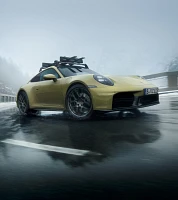 Porsche Ski and Snowboard Holder