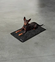 Porsche Dog Blanket