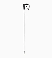 PORSCHE HEAD carbon ski poles