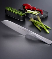 Knife P02 Japanese for Meat Fish and Vegetables 17.8 cm