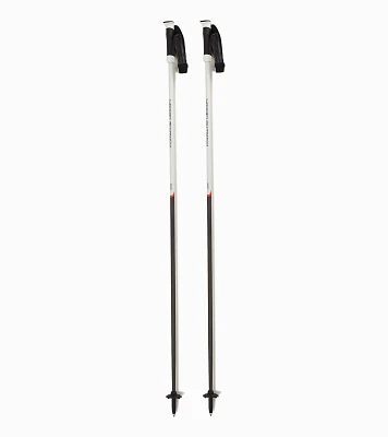 Porsche Design Elan Ski Poles