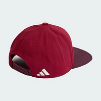 Gorra Snapback Selección Nacional de México