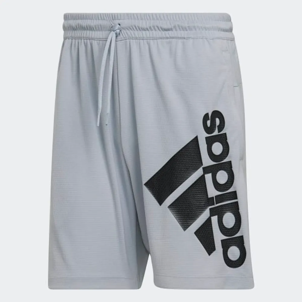 Shorts de Entrenamiento Big Badge of Sport