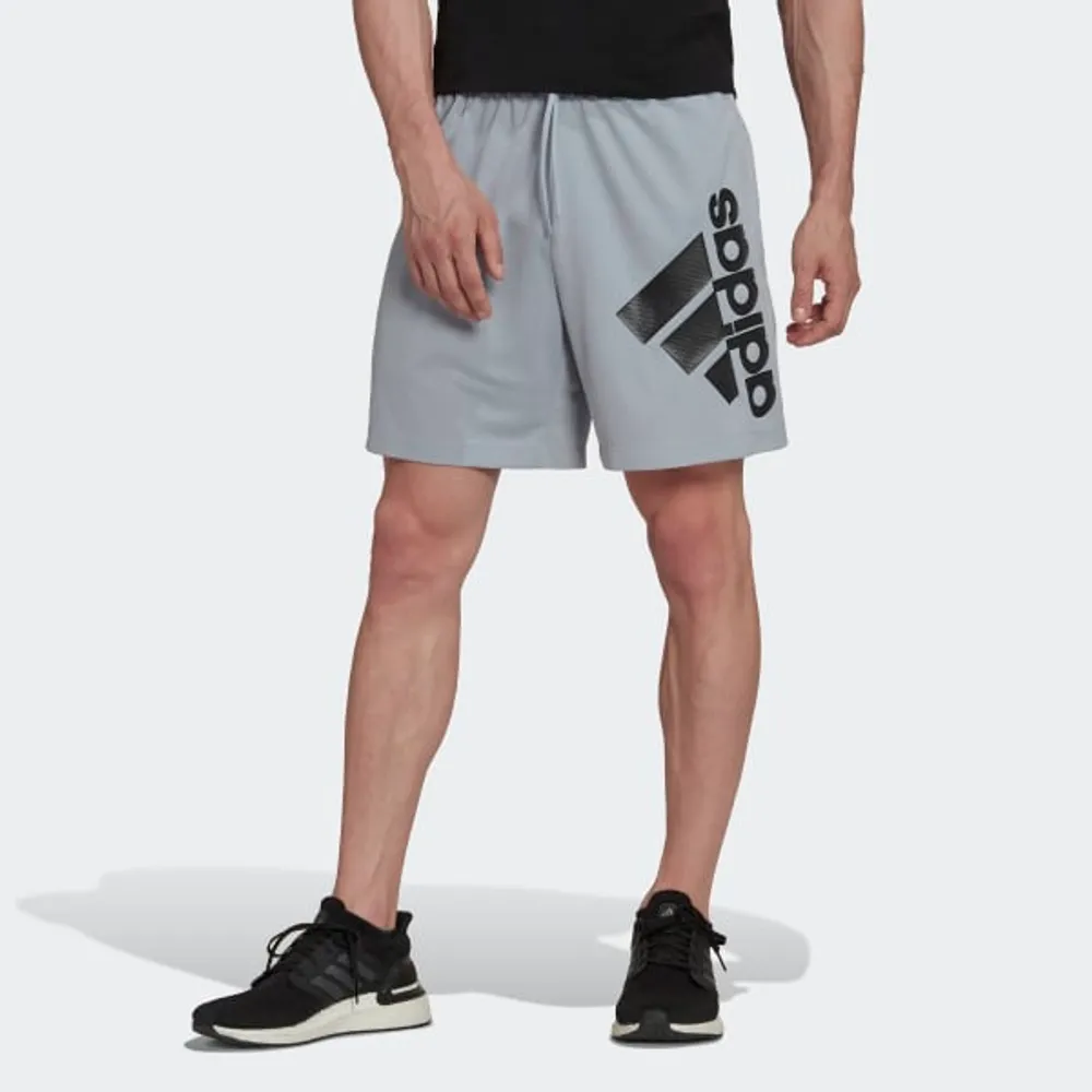 Shorts de Entrenamiento Big Badge of Sport