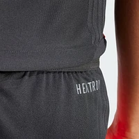 Shorts de Entrenamiento Tiro 24 Pro