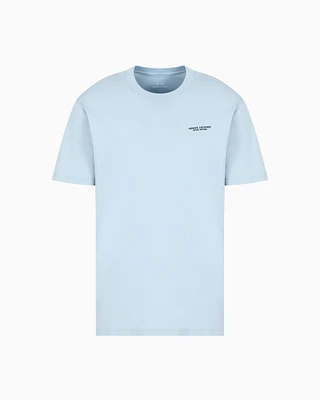 Armani Exchange - Regular fit T-shirt with logo , Man, Light Blue, Size: