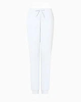 Armani Exchange - Scuba fabric jogger pants, Woman, Light Blue, Size: