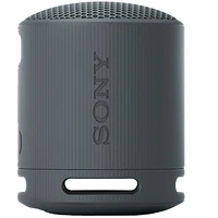 SRSXB100/B Speaker