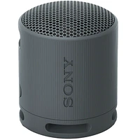 SRSXB100/B Speaker