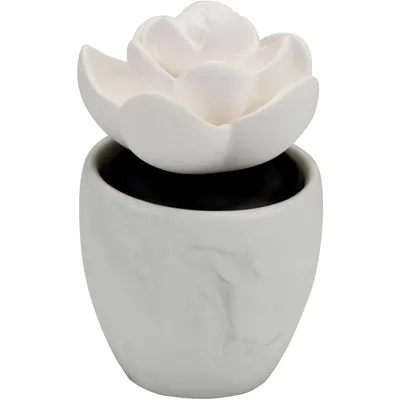 Lotus Leaf Waterless Aroma Diffuser