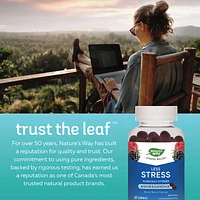 Less Stress Gummies