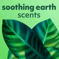 Softsoap Eucalyptus & Mint Body Wash, Moisturizing Body Wash, 591ml