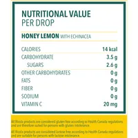 Honey Lemon with Echinacea Family Bag Cough Suppressant Throat Lozenges