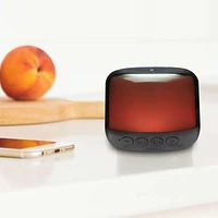 Bluetooth Mini Speaker