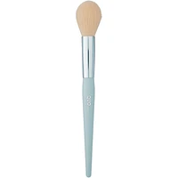 Eco Chic Brush Set