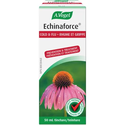 Echinaforce Immune Support for cold and flu