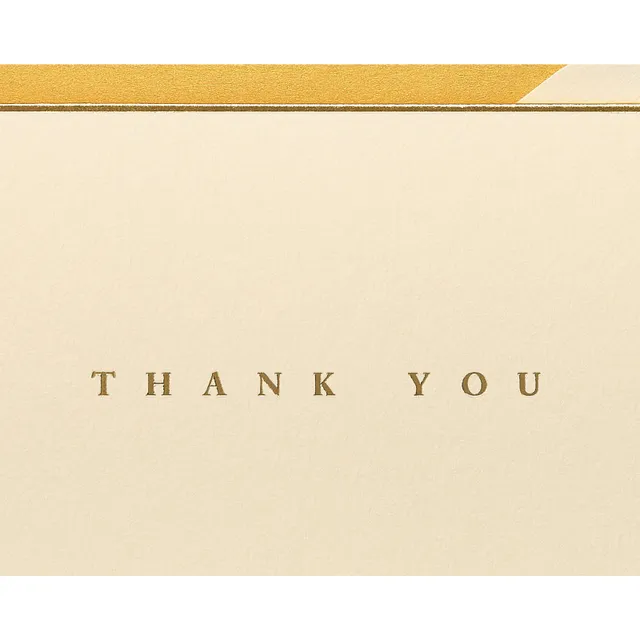 Papyrus Thank You Cards with Envelopes, Branches (20-Count