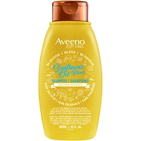 Deep Moisturizing Sunflower Oil Blend Shampoo with Oat, for Dry Damaged Hair, Dye, Paraben & Sulfate Surfactants Free