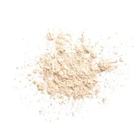 Synchro Skin Invisible Silk Loose Powder