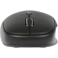 Slim Profile Wireless Mouse