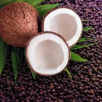 AXE  Body Wash for Long-Lasting freshness Excite Crisp Coconut and Black Pepper Scent Men's Moisturizing Shower Gel with Plant-Based Moisturizers 473 ml