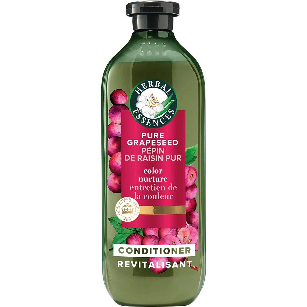 Pure Grapeseed Colour Nurture Sulfate Free Conditioner, Hair Protection and Colour Nourishment, with Certified Camellia Oil and Aloe Vera, For All Hair Types, Especially Colour Treated Hair