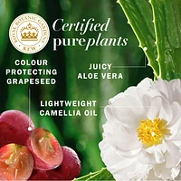 Pure Grapeseed Colour Nurture Sulfate Free Shampoo, Hair Protection and Colour Nourishment, with Certified Camellia Oil and Aloe Vera, For All Hair Types, Especially Colour Treated Hair