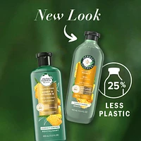 Herbal Essences Honey Daily Moisture Sulfate Free Conditioner, 400 mL, Protects and Nourishes Dry Hair, with Certified Camellia Oil and Aloe Vera, For All Hair Types, Especially Dry Hair