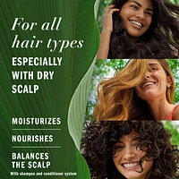 Herbal Essences Eucalyptus Sulfate Free Conditioner, Scalp Balance, 400 mL, with Certified Camellia Oil and Aloe Vera, For All Hair Types, Especially with Dry Scalp