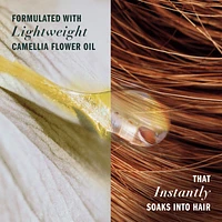 Coconut Oil Hydrating Shampoo, with Certified Camellia Oil and Aloe Vera, For All Hair Types, Especially Dry Hair