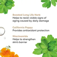 Mini Skinlongevity Long Life Herb Serum