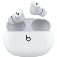  Buds True Wireless Noise Cancelling Earbuds