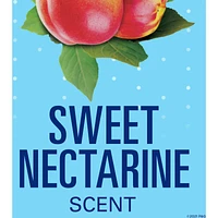 Invisible Solid Antiperspirant and Deodorant, Nectarine