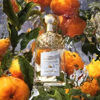 Aqua Allegoria Mandarine Basilic Eau de Toilette