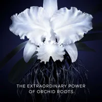 Orchidée Impériale - The Light Cream