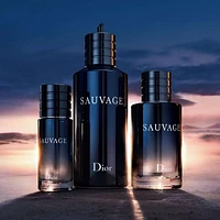 Sauvage Eau de Toilette