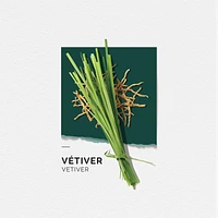 Solinotes Vetiver Eau de Parfum 1.7 Floz