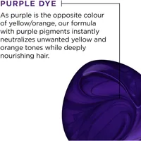 Color Radiance Purple Shampoo