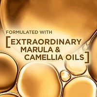 Hair Expertise Extraordinary Oil Sublime Perfector Oil