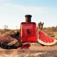 Polo Red Eau de Toilette, Earthy and Woody Fragrance for Men