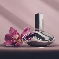Euphoria Eau de Toilette for Women Fragrance Gift Set