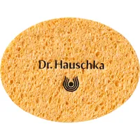 Cosmetic Sponge