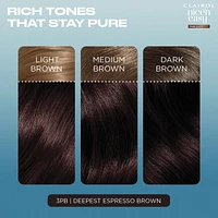 Nice'N Easy Pure Brunettes, Permanent Hair Dye, Rich Tones That Stay Until Re-Coloring