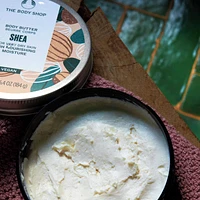 Shea Body Butter