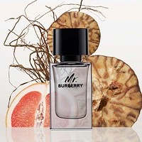 Mr. Burberry Eau de Toilette for Men