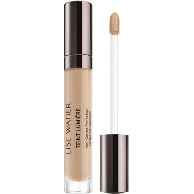 Teint Lumière Perfecting Concealer