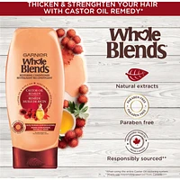 Garnier Whole Blends Castor Oil Remedy Conditioner, 650 mL