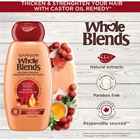 Garnier Whole Blends Castor Oil Remedy Shampoo, 650 mL