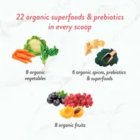 Fermented Organic Gut Superfoods+, Summer Berry Pomegranate Vegan Superfoods Powder